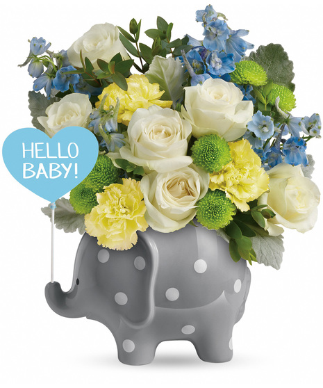 Hello Sweet Baby - Boy