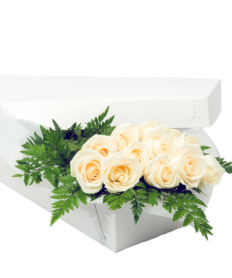 White Roses Gift Boxed with Greens