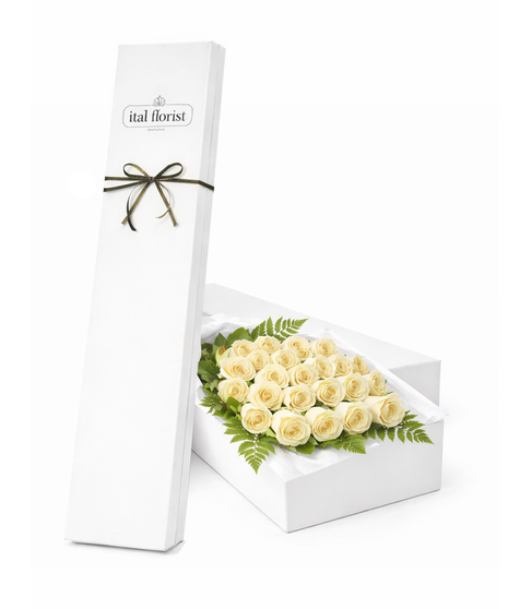 White Roses Gift Boxed with Greens
