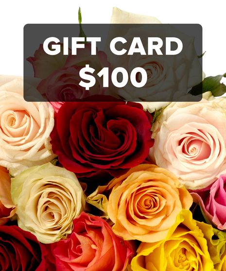 E-Gift Card