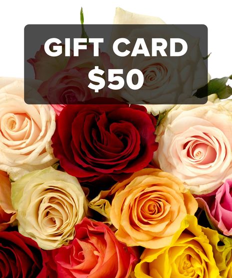 $50 - E-Gift Card