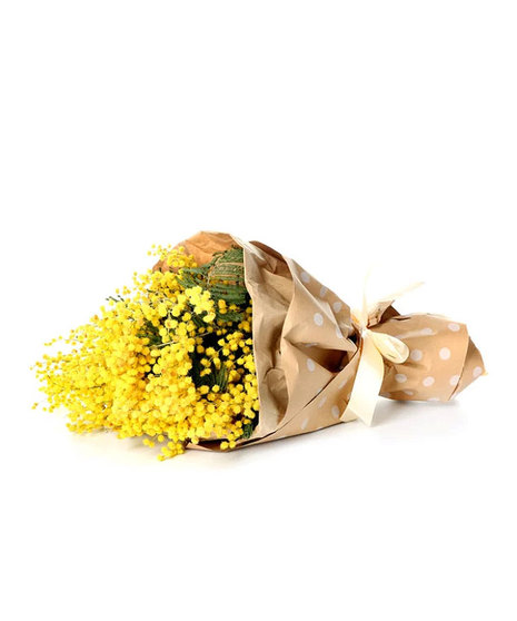 Mimosa Bouquet