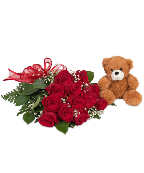 Bouquet of 12 Long Stem Red Roses