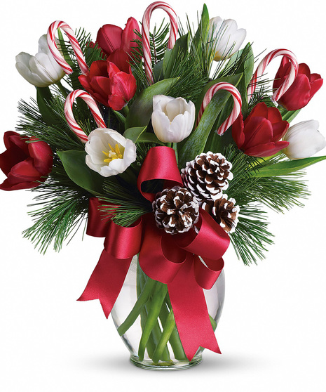 10, 15 or 20 red and white tulips in a glass vase with holiday trimmings