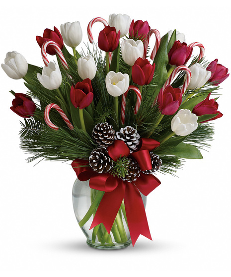 10, 15 or 20 red and white tulips in a glass vase with holiday trimmings